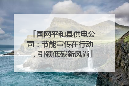 国网平和县供电公司：节能宣传在行动，引领低碳新风尚