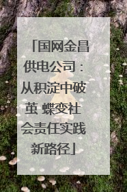 国网金昌供电公司：从积淀中破茧 蝶变社会责任实践新路径