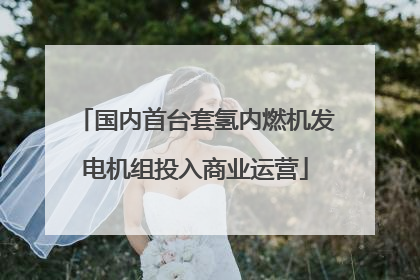 国内首台套氢内燃机发电机组投入商业运营