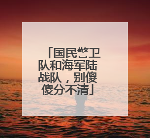 国民警卫队和海军陆战队，别傻傻分不清