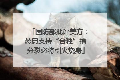 国防部批评美方：怂恿支持“台独”搞分裂必将引火烧身