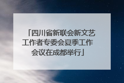 四川省新联会新文艺工作者专委会夏季工作会议在成都举行