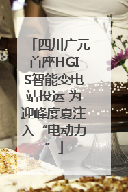 四川广元首座HGIS智能变电站投运 为迎峰度夏注入“电动力”