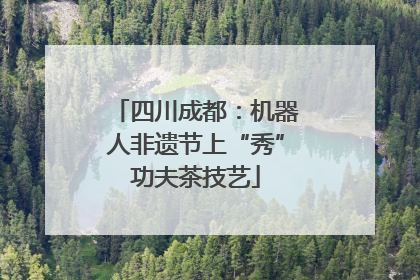 四川成都：机器人非遗节上“秀”功夫茶技艺