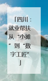 四川：就业帮扶从“小摊”到“数字工匠”