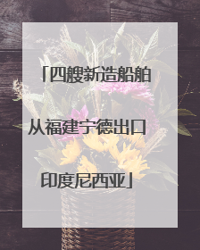 四艘新造船舶从福建宁德出口印度尼西亚