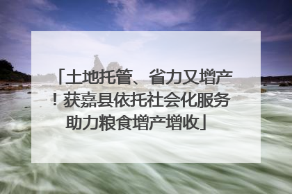 土地托管、省力又增产！获嘉县依托社会化服务助力粮食增产增收
