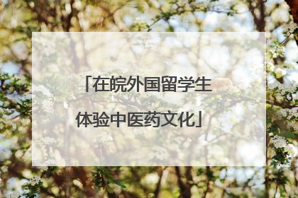 在皖外国留学生体验中医药文化
