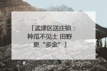 孟津区送庄镇：种瓜不见土 田野更“多金”