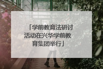 学前教育法研讨活动在兴华学前教育集团举行