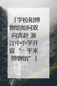 学校和博物馆如何双向奔赴 浙江中小学开设“一平米博物馆”