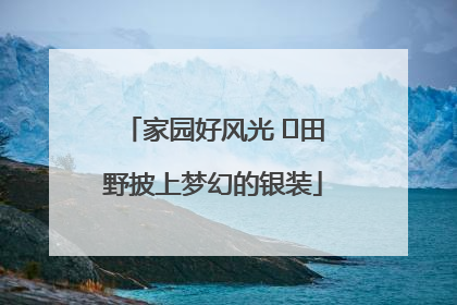 家园好风光 ⎮田野披上梦幻的银装