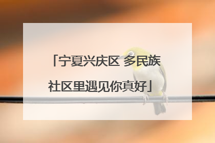 宁夏兴庆区 多民族社区里遇见你真好