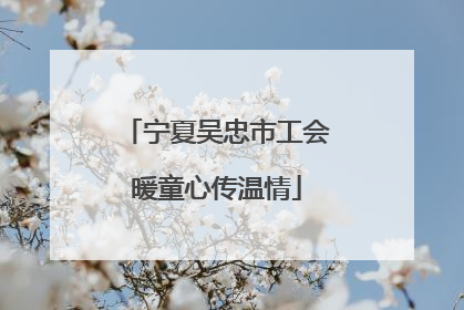 宁夏吴忠市工会暖童心传温情