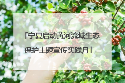 宁夏启动黄河流域生态保护主题宣传实践月