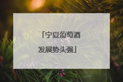 宁夏葡萄酒发展势头强