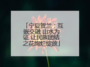 宁夏贺兰：互嵌交融 山水为证 让民族团结之花绚烂绽放