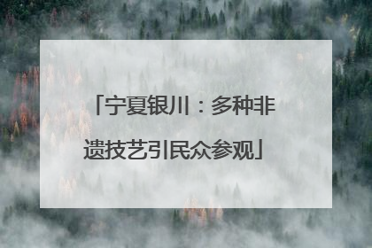 宁夏银川：多种非遗技艺引民众参观