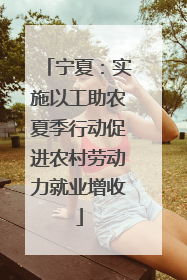 宁夏：实施以工助农夏季行动促进农村劳动力就业增收
