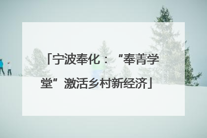 宁波奉化：“奉菁学堂”激活乡村新经济