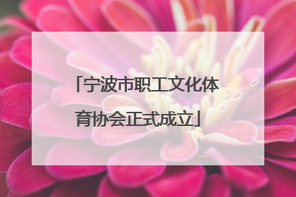 宁波市职工文化体育协会正式成立