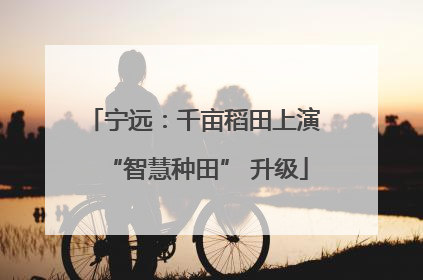 宁远：千亩稻田上演 “智慧种田” 升级