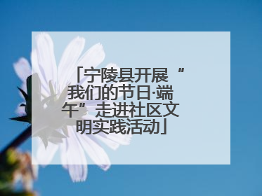宁陵县开展“我们的节日·端午”走进社区文明实践活动