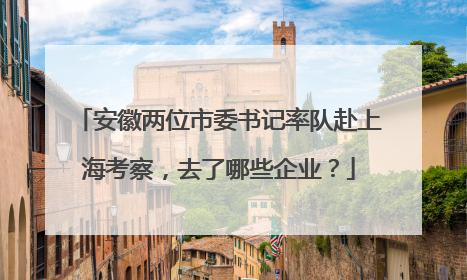 安徽两位市委书记率队赴上海考察，去了哪些企业？