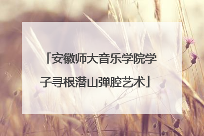 安徽师大音乐学院学子寻根潜山弹腔艺术