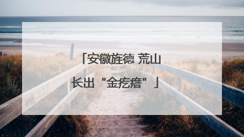 安徽旌德 荒山长出“金疙瘩”