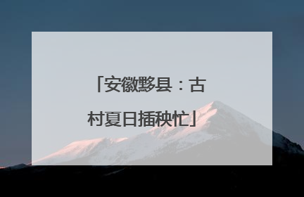 安徽黟县：古村夏日插秧忙