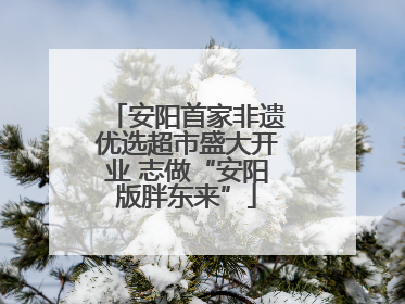 安阳首家非遗优选超市盛大开业 志做“安阳版胖东来”