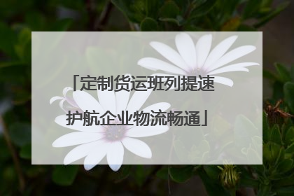 定制货运班列提速 护航企业物流畅通
