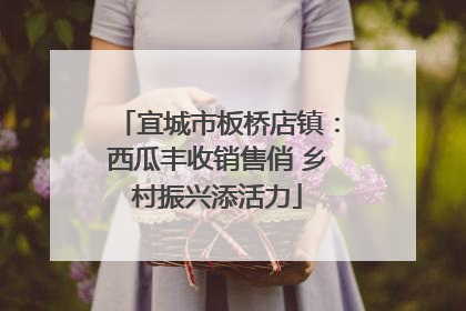 宜城市板桥店镇：西瓜丰收销售俏 乡村振兴添活力