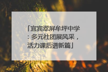 宜宾翠屏牟坪中学：多元社团展风采，活力课后谱新篇