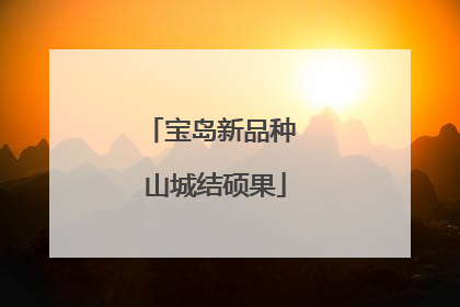 宝岛新品种 山城结硕果