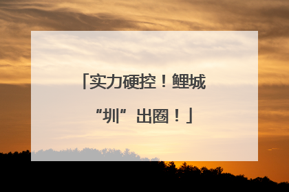 实力硬控！鲤城“圳”出圈！