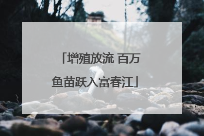 增殖放流 百万鱼苗跃入富春江