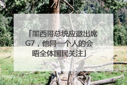 墨西哥总统应邀出席G7，他同一个人的会晤全体国民关注