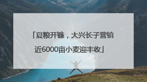夏粮开镰，大兴长子营镇近6000亩小麦迎丰收