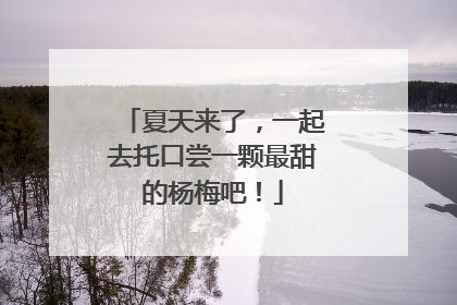 夏天来了，一起去托口尝一颗最甜的杨梅吧！