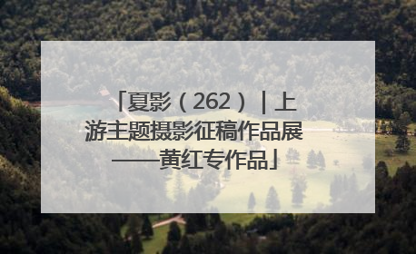 夏影（262）｜上游主题摄影征稿作品展——黄红专作品