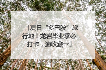夏日“多巴胺”旅行地！龙岩毕业季必打卡，速收藏→