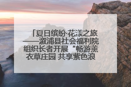 夏日缤纷·花漾之旅——溆浦县社会福利院组织长者开展“畅游薰衣草庄园 共享紫色浪漫”户外活动