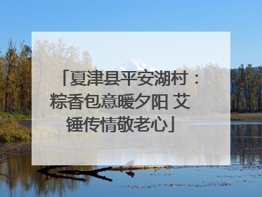 夏津县平安湖村：粽香包意暖夕阳 艾锤传情敬老心