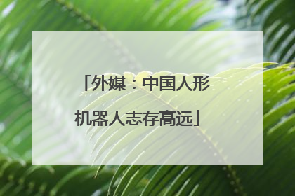 外媒：中国人形机器人志存高远