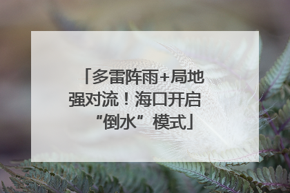 多雷阵雨+局地强对流！海口开启“倒水”模式