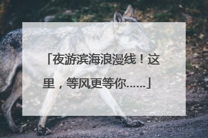 夜游滨海浪漫线！这里，等风更等你……
