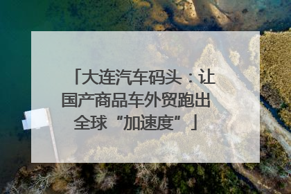 大连汽车码头：让国产商品车外贸跑出全球“加速度”