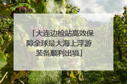 大连边检站高效保障全球最大海上浮游装备顺利出境